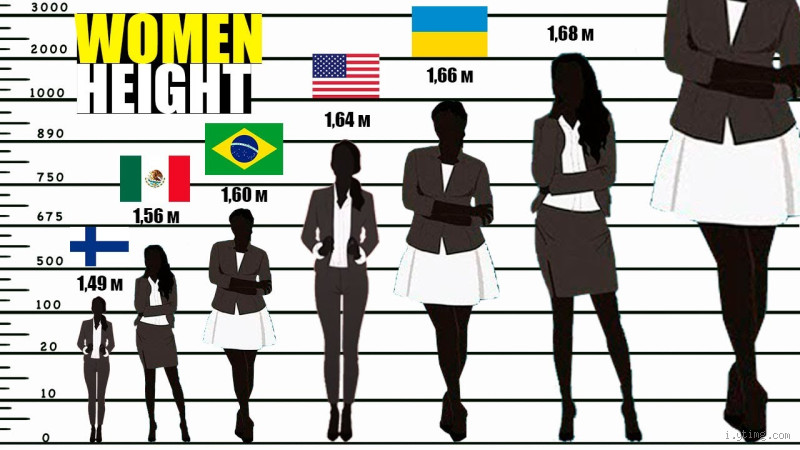 How Tall is the Average Lady in the USA?