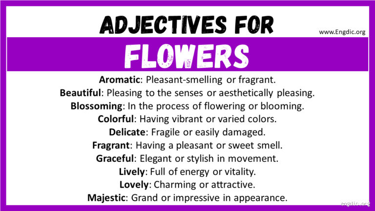 Describing Flowers in One Word: Can You Capture Their Essence?