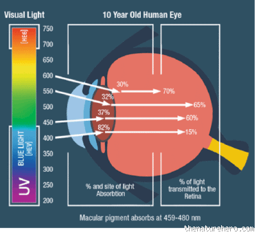 Is 0 Brightness Good for Eyes? What No One Tells You