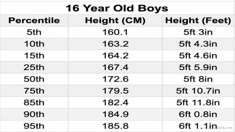 Is 5 8 tall for a 16 year old guy?