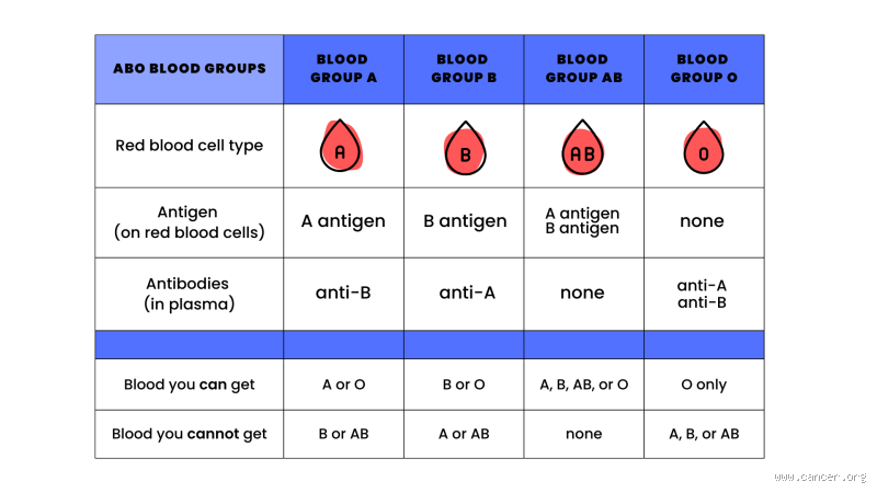 Is a Negative Blood Type Genetic? Unraveling the Mystery