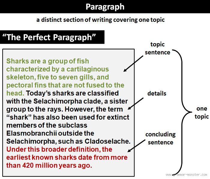 Is a Paragraph 1 Page? Here’s What You Need to Know!