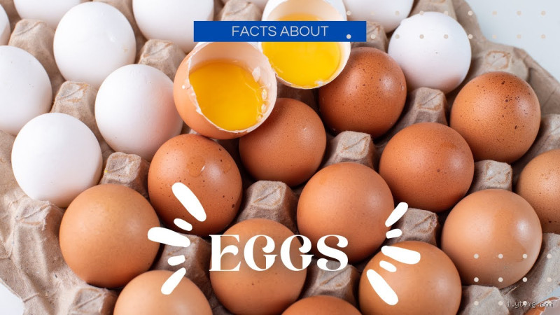 Is Eggs Good for Growing? The Truth Might Surprise You