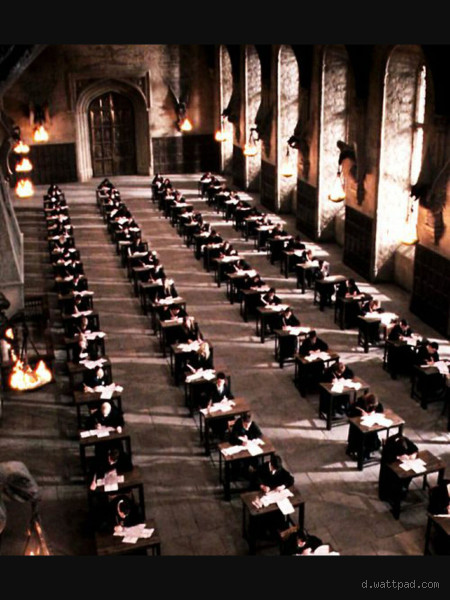 Is Harry Potter a Dark Academia? Exploring the Connection