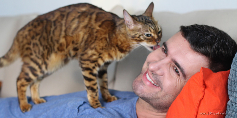 Is It OK for My Cat to Lick Me? Uncover the Truth!