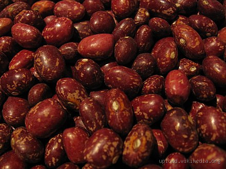 Is Miley Cyrus No Longer Vegan? What’s the Real Story?