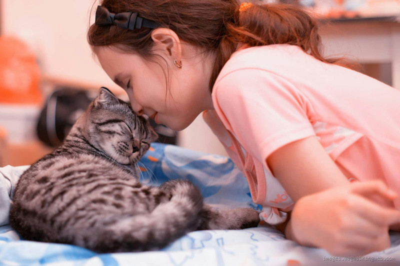 Is My Cat Clingy Because I'm Sad? Here's What You Need to Know