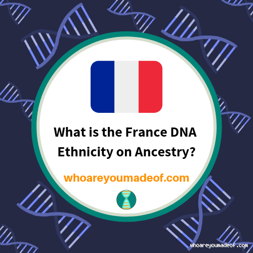 Is There French DNA? Exploring the Concept of "French Identity"