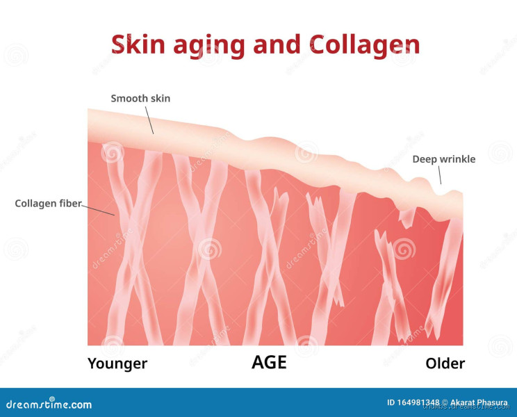 When Does Collagen Production Stop? The Truth Behind Aging Skin