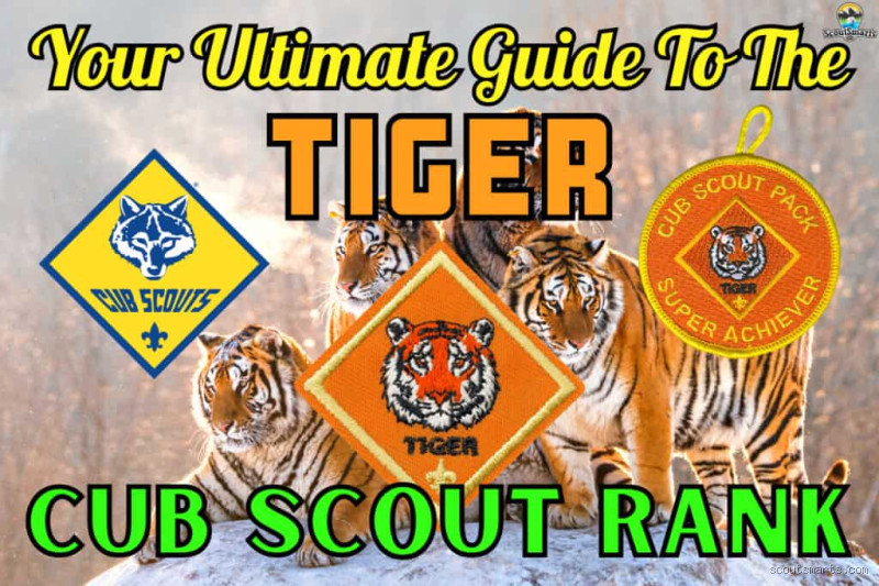 What Age is a Tiger Scout in the Boy Scouts Program?