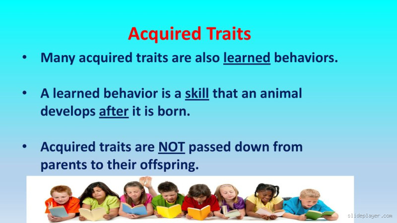 What Are Behavioral Acquired Traits? Learn How Habits Shape Us