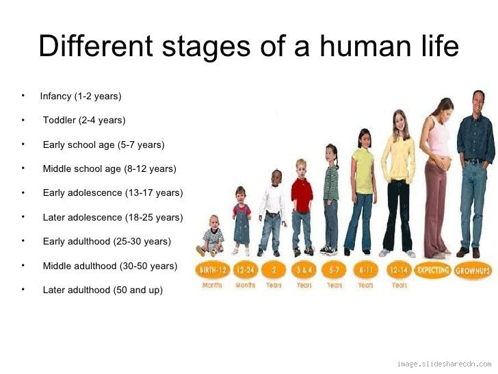 What Are the 7 Life Stages Ages? Unlock the Secrets of Growing Up!