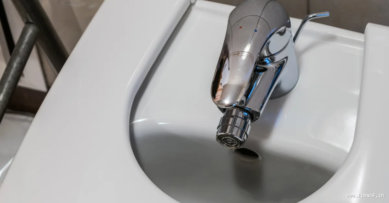 What Are the Downsides of Using a Bidet? The Hidden Issues You Should Know