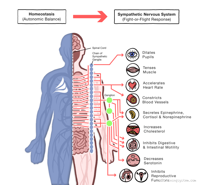 What Are the First Signs of Your Body Shutting Down?