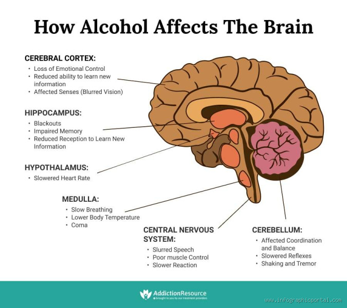 What Are the Long-Term Neurological Effects of Alcohol? The Hidden Risks