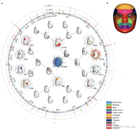 What Are the Spiritual Gifts of a Person? Unlock Your Inner Potential