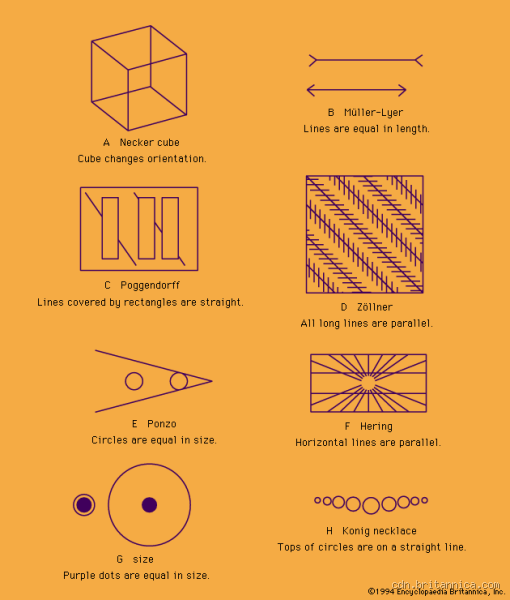 What Are the Different Subtypes of Illusion?