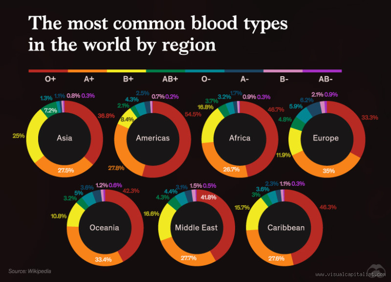 What Blood Type is Most Common in the Netherlands? Unveiling the Mystery