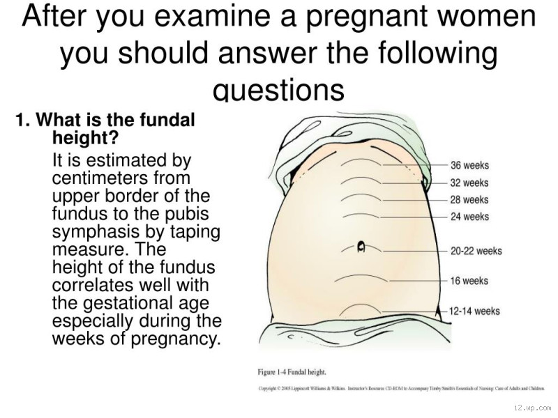 Why Is Your Delivery Height Too High? Here's What You Need to Know