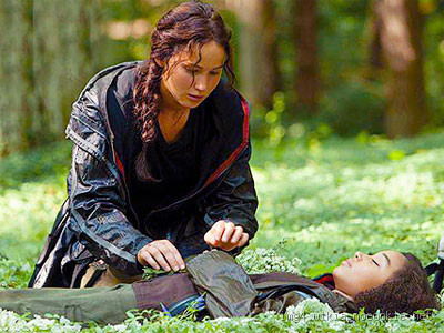 What Did Katniss Do for Rue as She Died? A Heartbreaking Act of Compassion
