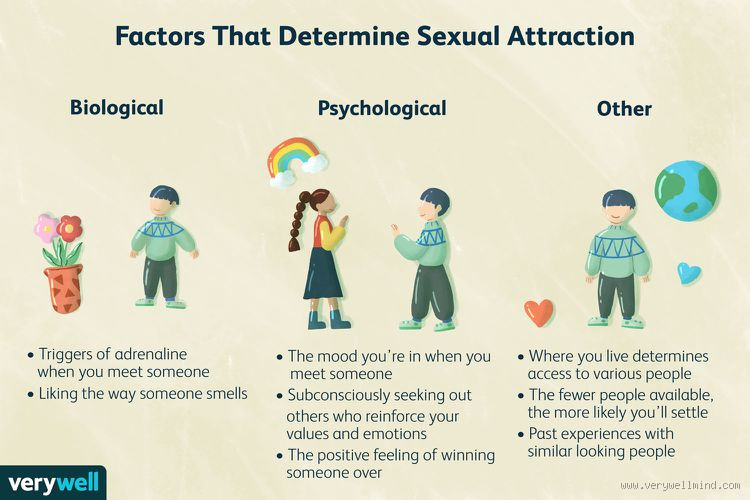 What Do Guys Prefer: Cute or Hot? The Truth Behind Attraction