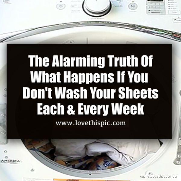 What Happens If You Don't Wash Your Sheets? The Shocking Truth