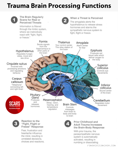 What Happens in Your Brain When You Miss Someone? The Surprising Science