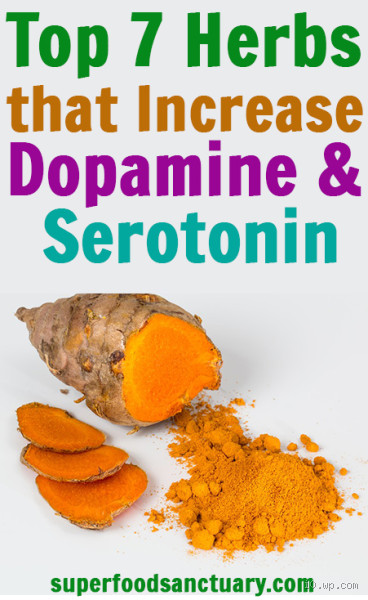 What Herb is High in Serotonin? Discover Natural Mood Boosters