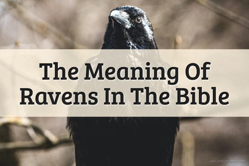 What is a Raven in the Bible? Unveiling Its Meaning and Symbolism
