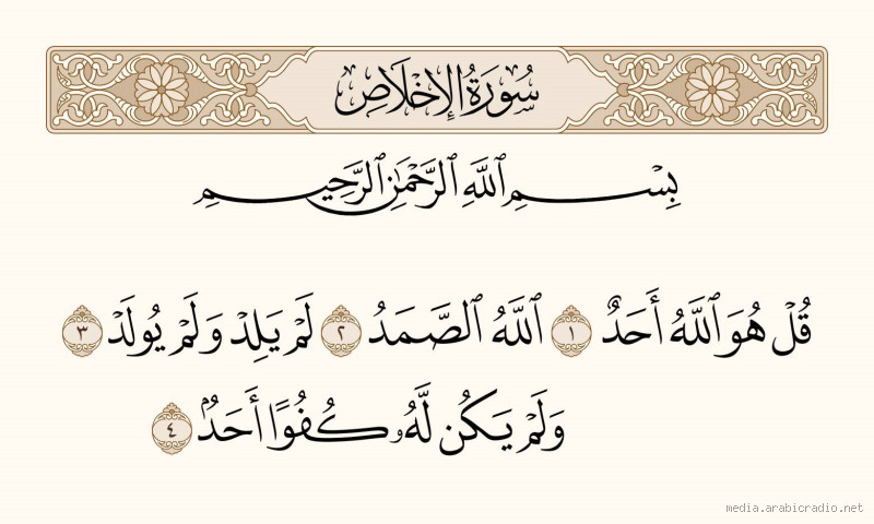 What is Root 39? Unveiling the Mystery Behind the Number