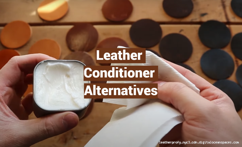What Is the Best Alternative to Leather Conditioner?