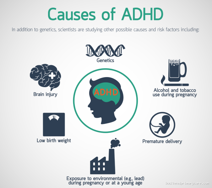 What Is the Biggest Cause of ADHD?