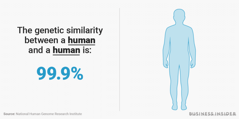 What Is the Closest Genetic Match to Humans? You Might Be Surprised