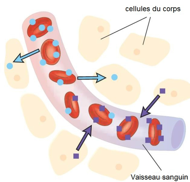 What Is the Infinite Luck Symbol? Uncover Its True Power