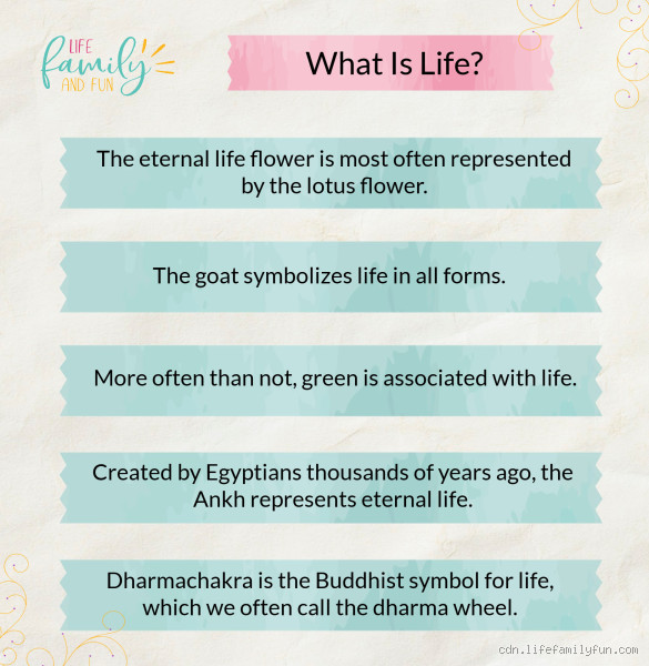 What is the Main Symbol of Life? Uncovering the Meaning Behind Life's Powerful Emblems
