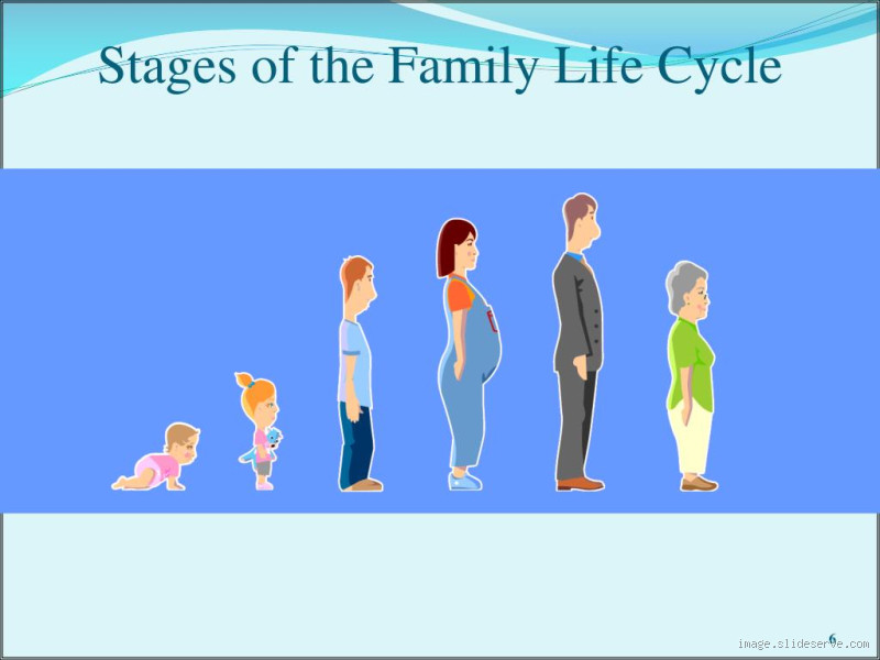 What is the Most Stressful Part of the Family Life Cycle?