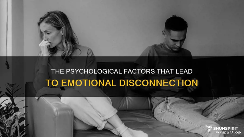 What Makes a Man Emotionally Disconnected? Unveiling the Truth