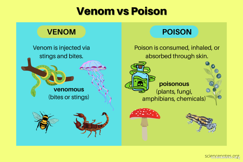 What Venom Kills the Fastest? Discover the Deadliest Toxins