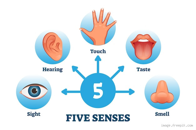Where Do Men Store Emotions?