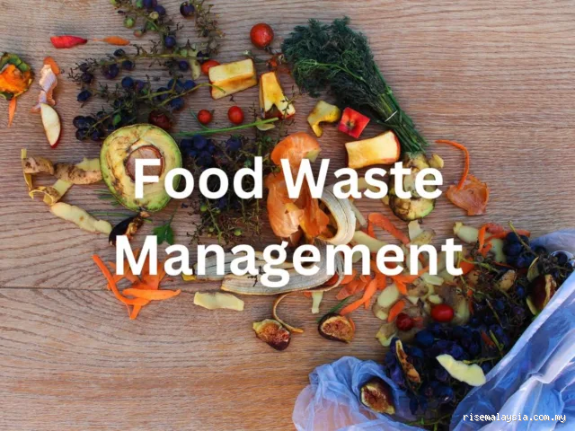 Where Does Food Waste Go? The Surprising Journey of Your Leftovers