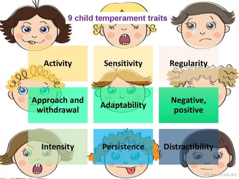 Which Are the 3 Basic Types of Temperament in Babies? Learn What Makes Your Little One Tick