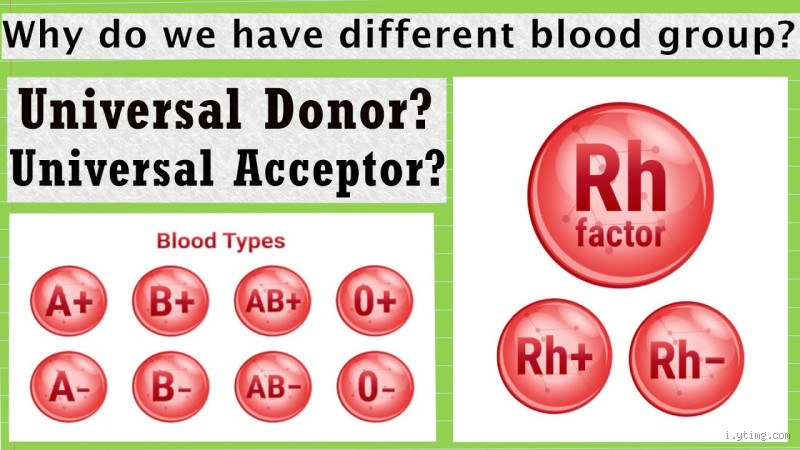 Which Blood Group is Mentally Strong? Unlocking the Secrets