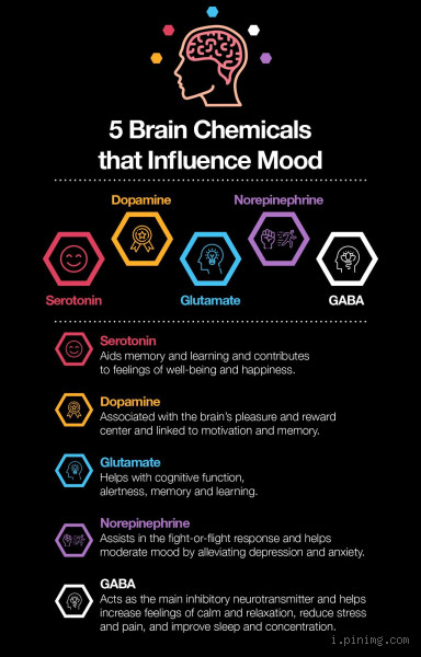 Which Chemical is Responsible for Overthinking?