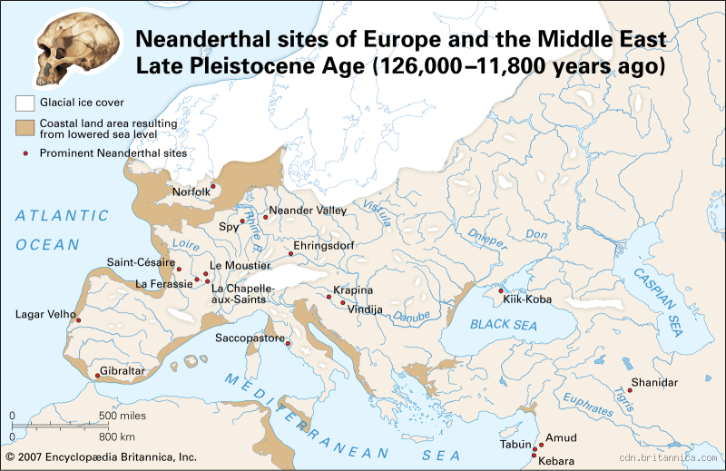 Which European country has the most Neanderthal DNA?