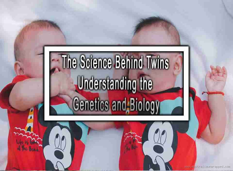 Which Parent Determines Twins? The Truth Behind Twin Genetics