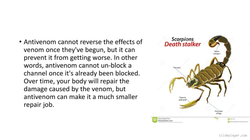Why Can't You Get Antivenom Twice? Understanding the Limits