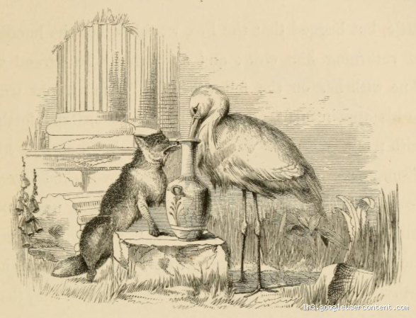 Storks and Soup: Why Can't Storks Drink Soup? Exploring Limitations and Metaphors