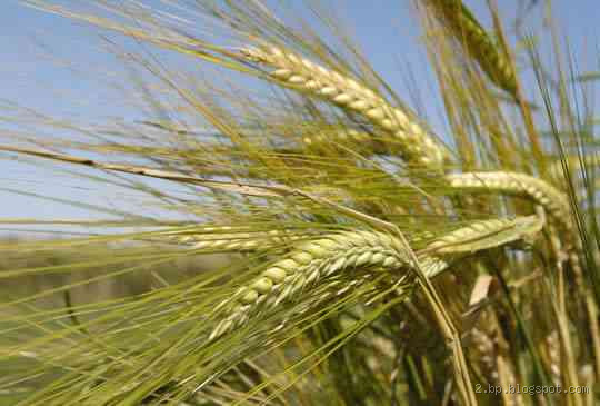 Why Did Rafael Nadal Leave the 2022 Laver Cup Early?