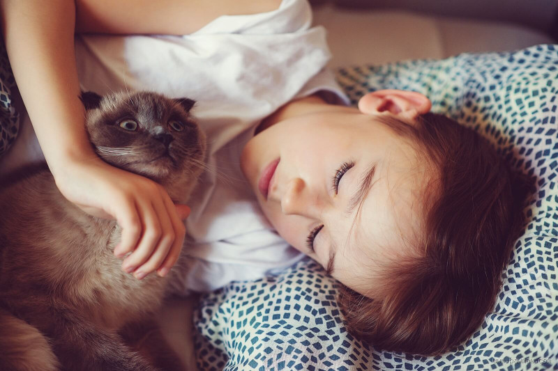 Why Do Cats Sit on Your Chest When You Sleep? The Surprising Reasons