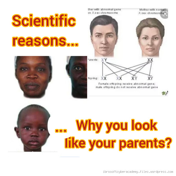 Why Do I Look Like a Mix of My Parents? The Truth Behind Your Genes